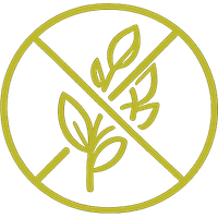 No Seed Oils